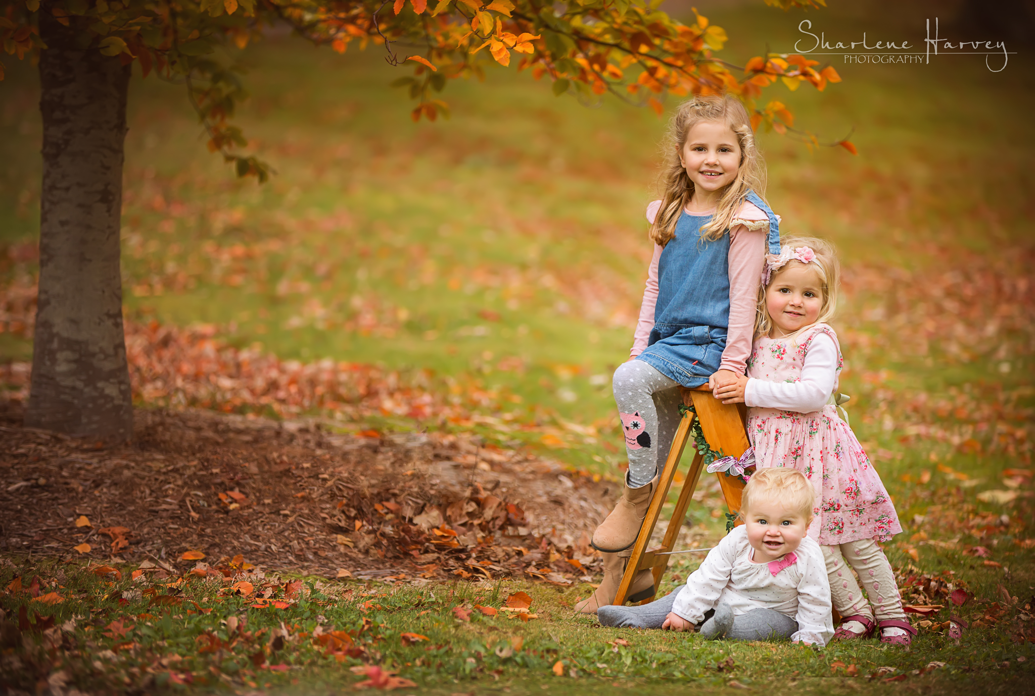 Three gorgeous Children durnig their Autumn Family Shoot