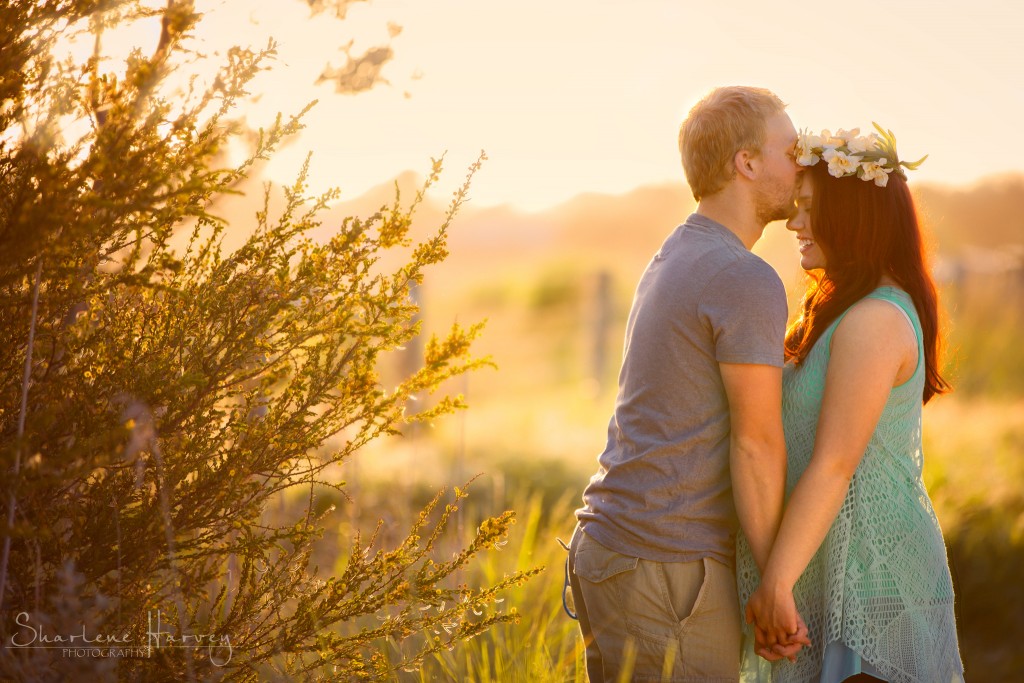 Elated father-to-be kisses pregnancy wife - Mornington Peninsula Photographer