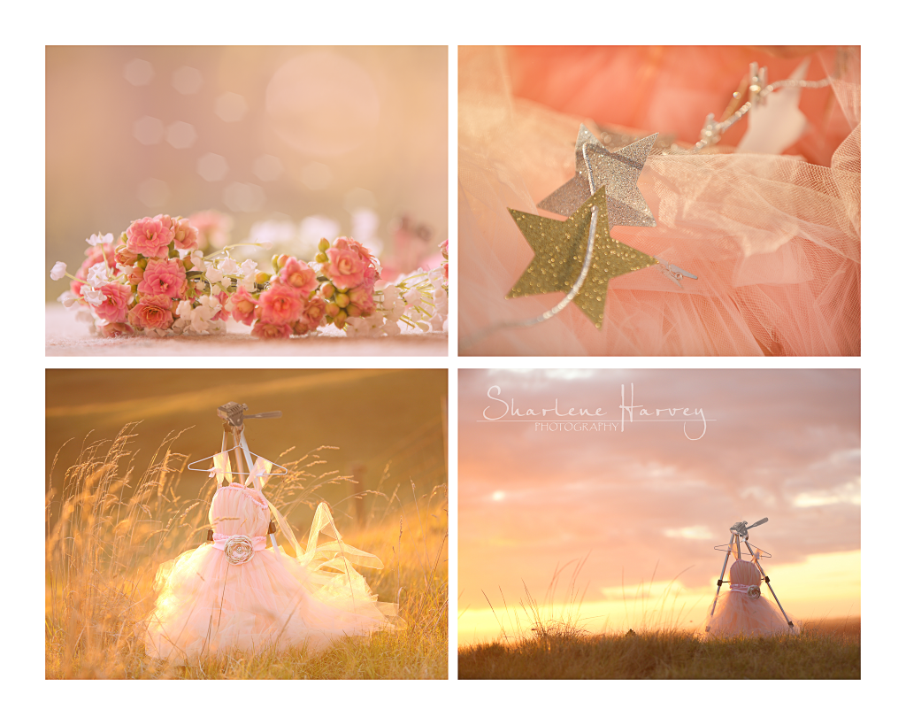 Flower head dress, stars, tulle dress and sunset location