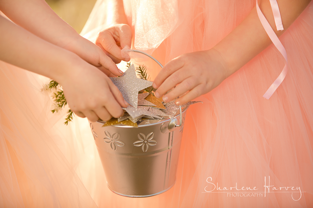 Children collecting stars and putting them in silver bucket