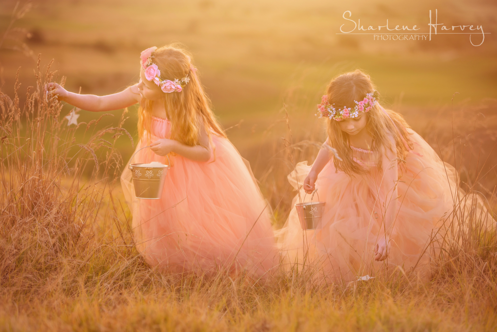 Fairy girls collecting stars