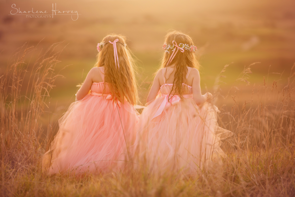 Beautiful girls in tulle dresses