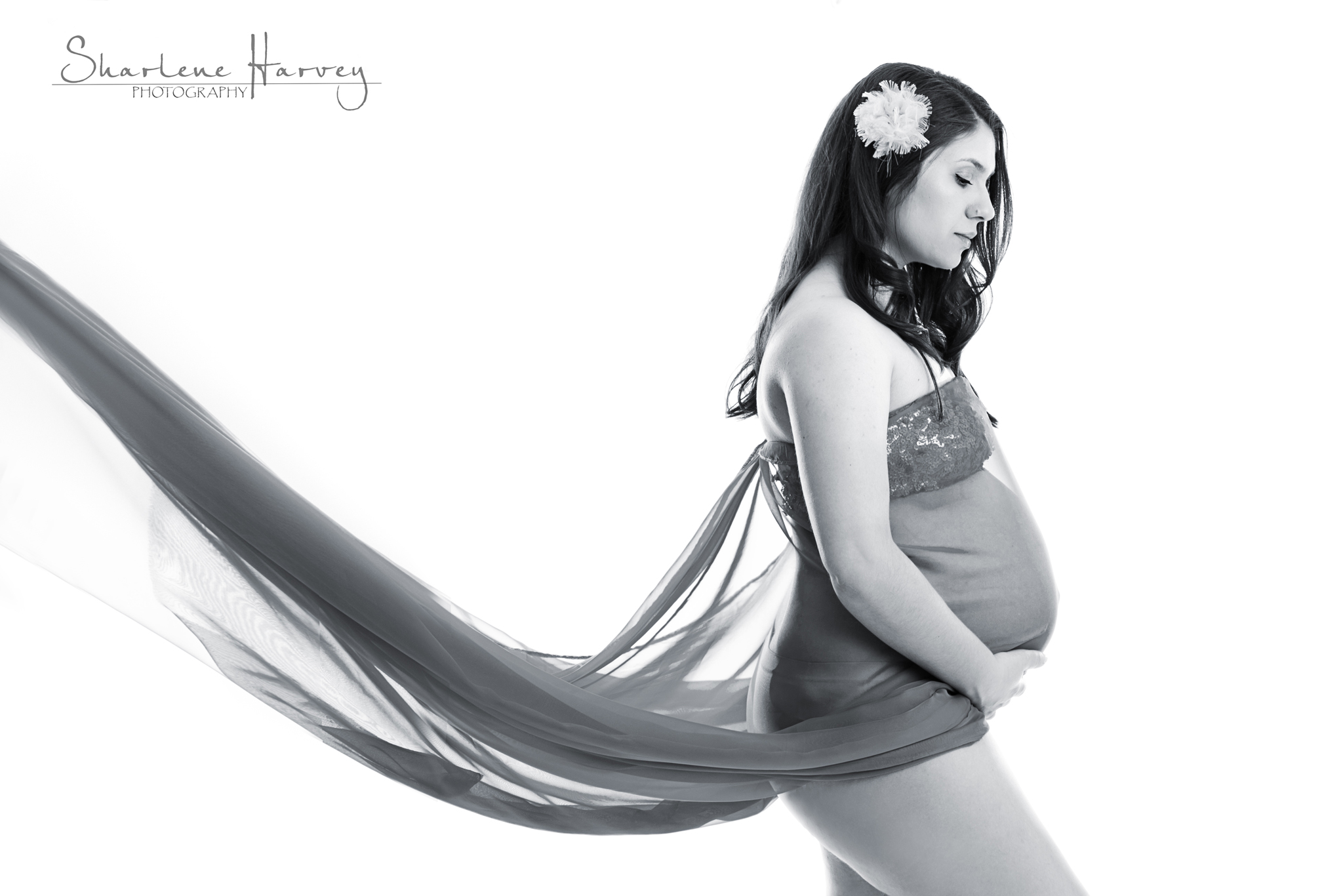 Stunning Studio Maternity Portrait | Mornington Peninsula Maternity Photographer