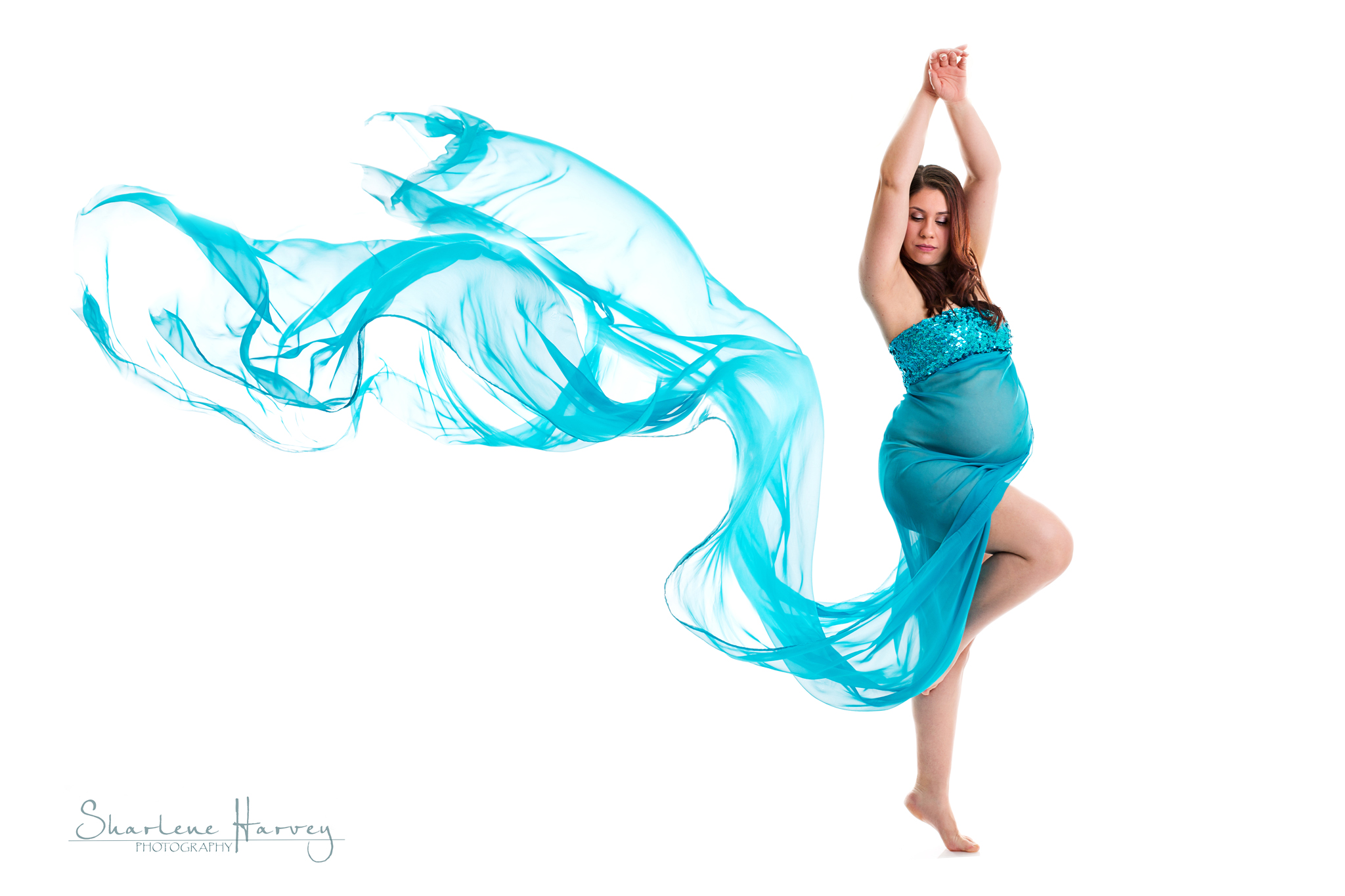 Artistic Fine Art Maternity Portrait | Mornington Peninsula Maternity Photographer